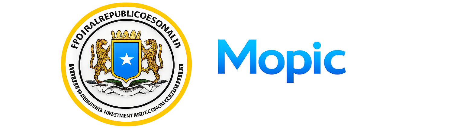mopic Asset Register System